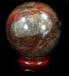 Colorful Petrified Wood Sphere #36970-1
